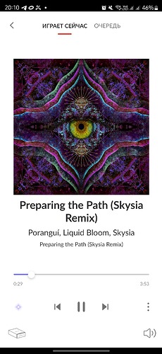 Screenshot_20250308_201037_Roon