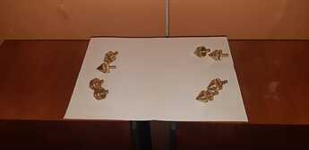 IMG-20221029-WA0010
