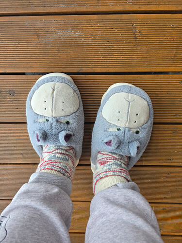 IMG_2026_02_11_13_32_55_3412129437970166357067