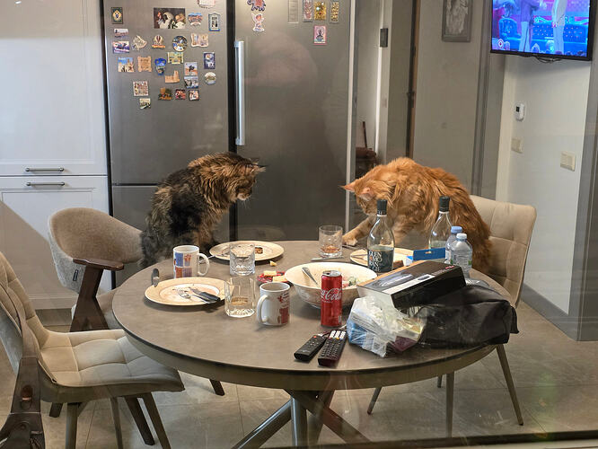 IMG_20260126_202106_198