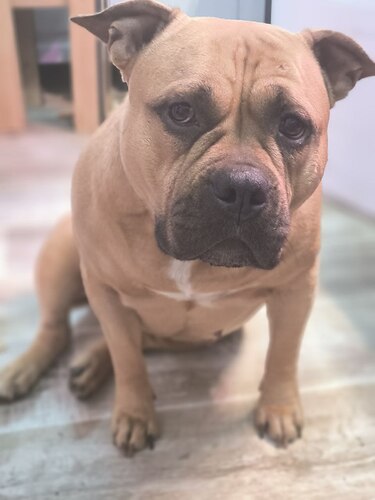 IMG_20250217_212720_449