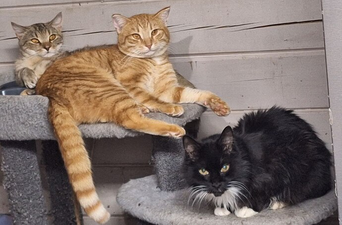 2b818f4b-b037-49b4-9b2c-4ceaf4db2632