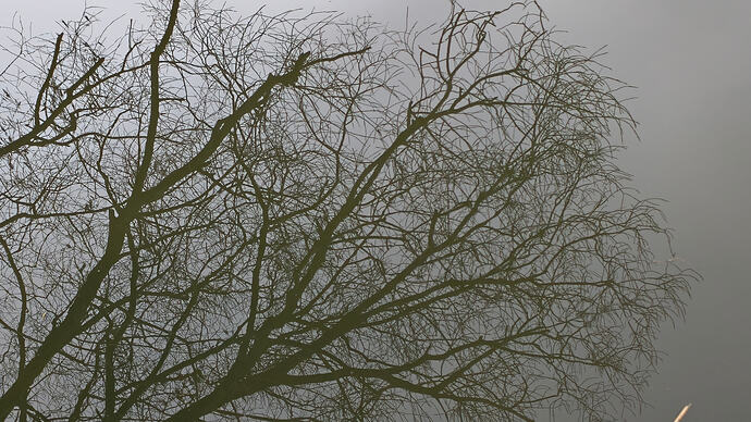 _2025-12-02 15-22-24