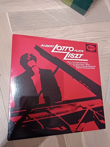 17327167674294629834555198140761