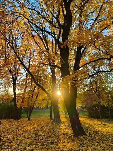 IMG20251018165713++_s