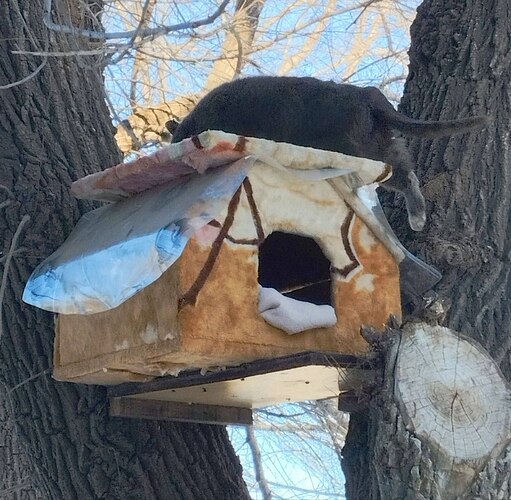 photo_2026-01-08_23-44-42