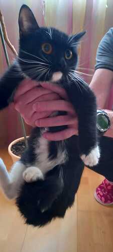 IMG-20250616-WA0016