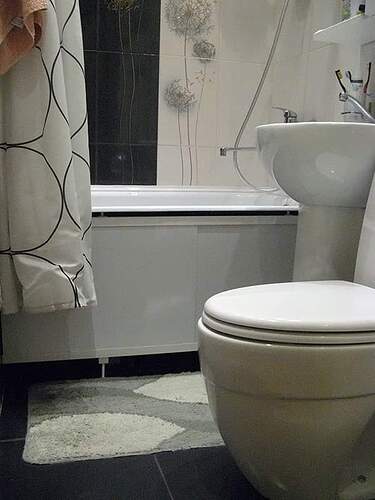 10858365_823608404363342_6722066238929339971_n