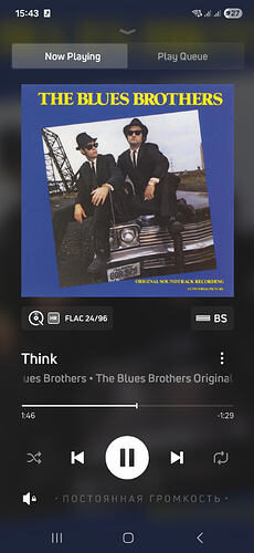 09 Screenshot_20260126_154338_BluOS