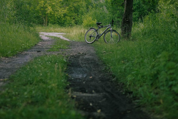 498216991_24624431163823835_7540646023693830217_n