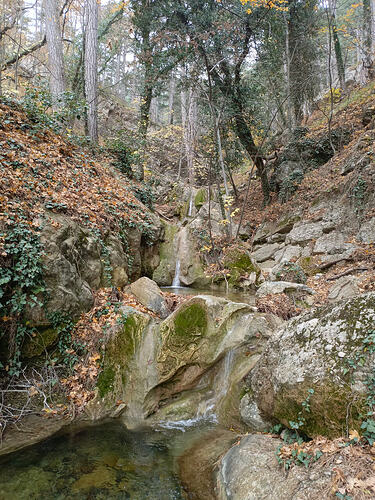 IMG_20251104_144545_458