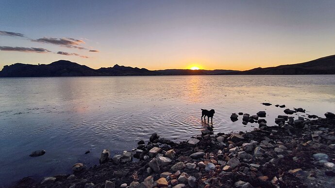 IMG_20250827_164408_473