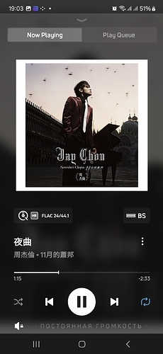 Screenshot_20250112_190316_BluOS