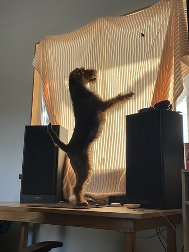 2263ABAE-2CAB-4D96-A3D5-C71520B902B0_1_105_c