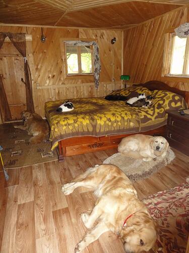 Баня. Холодно на улице