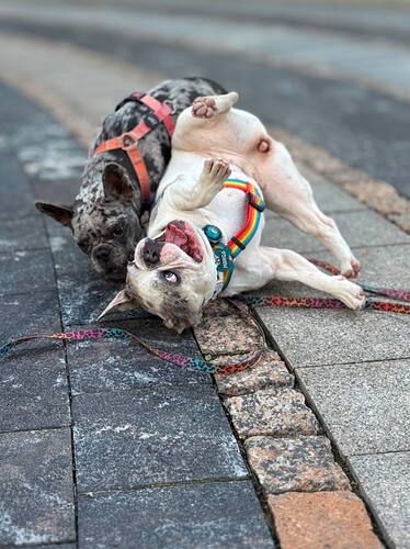 photo_2025-08-11_16-57-52