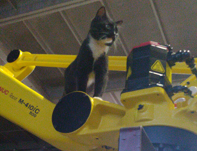 robocat2