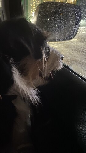 photo_2025-12-31_20-41-21