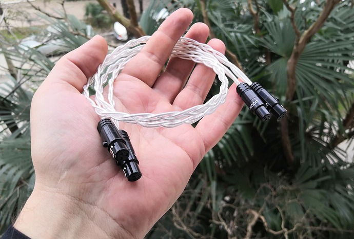 IMG_20230214_133102_edit_929526030896702