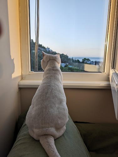 PXL_20240613_024011169