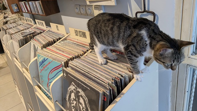 PXL_20250530_153021917