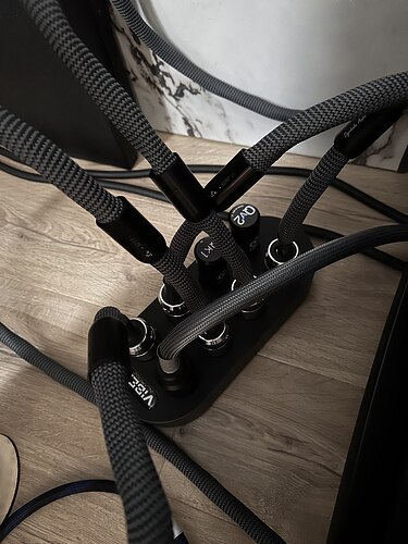 photo_2023-08-08 10.25.20