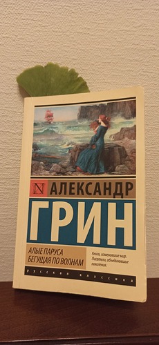 IMG_20241101_190837