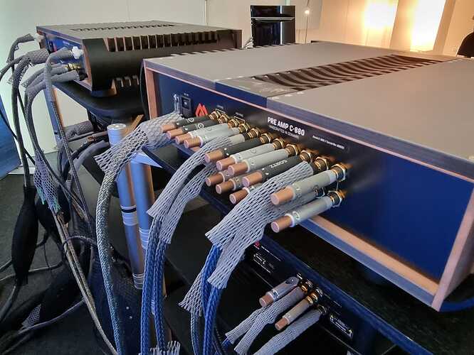 282145538_10222264277502518_8304522522481746439_n