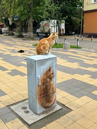 Зеленоградск-14