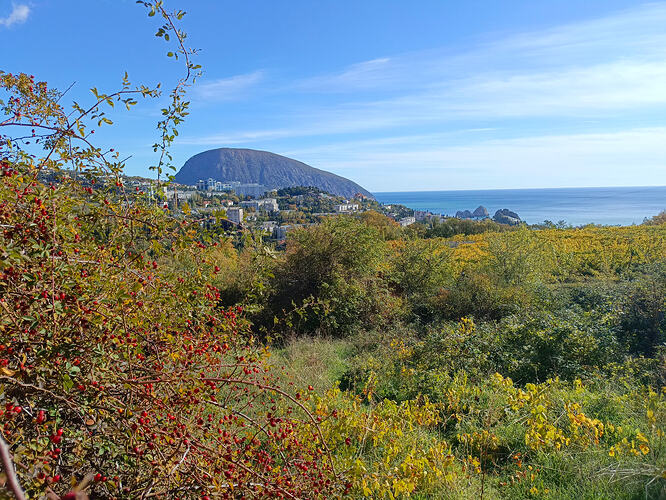 IMG_20251025_102759_928