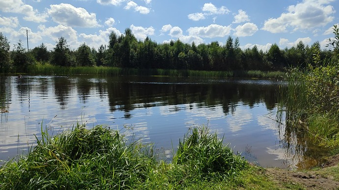 IMG-20230809-WA0001