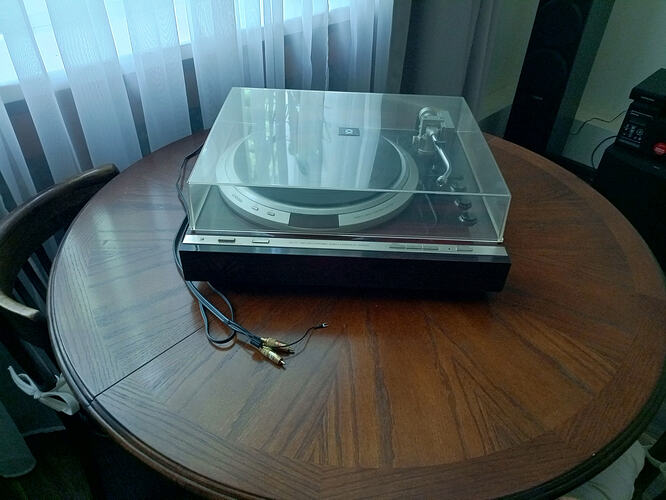 0paUHqcy3nF8AHK7x1f-RlCy1WmILx9SGCSx89JJJdDQOhTdL9AzR_6aETssjRjnqhGWlKaqHh6OcVUHGAz-UQ==