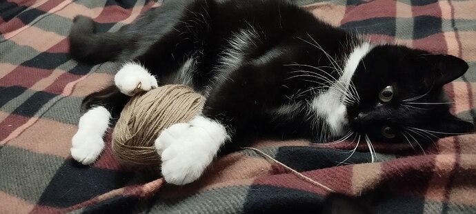 photo_2026-01-26_17-58-11