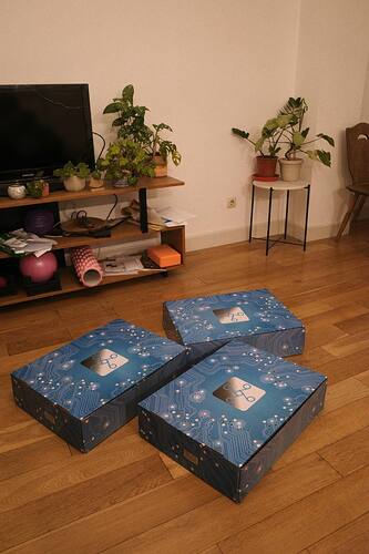 photo_2024-11-29_22-52-54