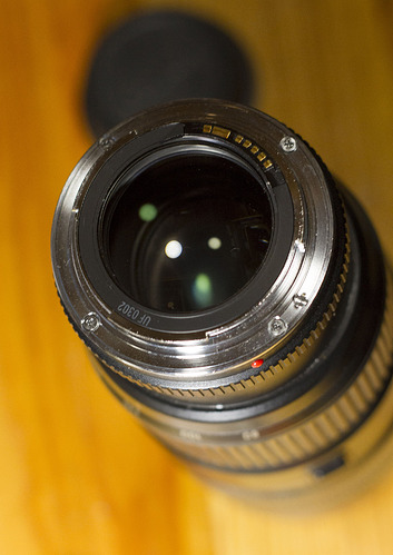 Canon EF80-200 2.8L_MG_9909