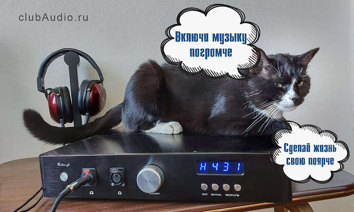 Кот