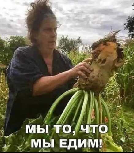 едим