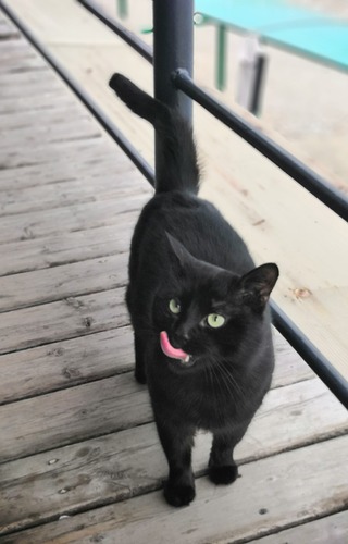 IMG_20230128_142237_edit_1153234551179237