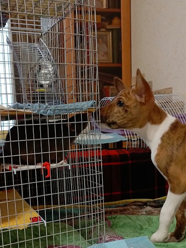 WhatsApp Image 2025-04-11 at 13.40.28 (1)