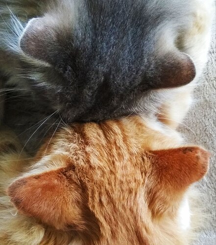 IMG_20230128_231206_770