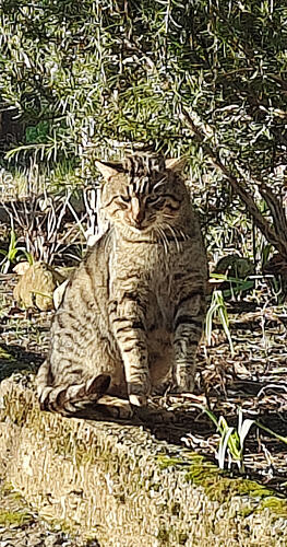 Screenshot_2026-01-02-15-03-49-54_99c04817c0de5652397fc8b56c3b3817