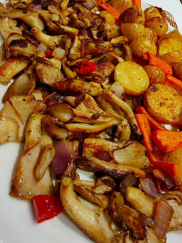 IMG_20260112_193256-01