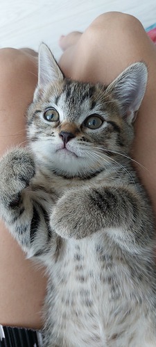 Серафима Юльевна😊