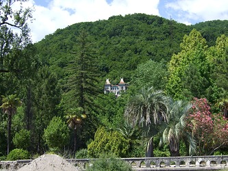 DSCF1447