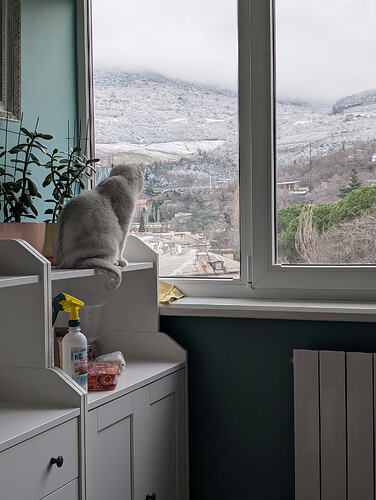 PXL_20260204_122643264