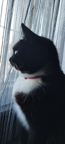 photo_2026-02-03_10-04-06