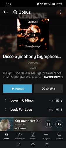 Screenshot_20250403_181954_com_lenbrook_sovi_bluesound_MainActivity