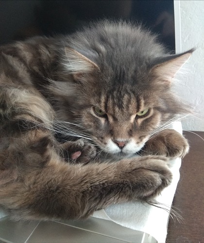 upload_2023_02_02_12_31_03_225