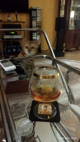 IMG_20240627_185930_copy_768x1365