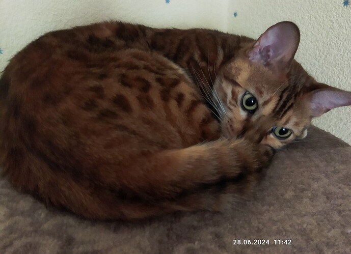 1719584571516_copy_1024x743